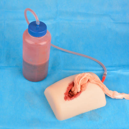 Hands-On Medical Simulation - Ultrassist Wound Packing Trainer Kit
