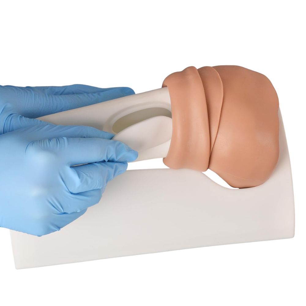 Proximal Tibial IO Trainer with Sleeve Skin (Infant, Pediatric & Adult)