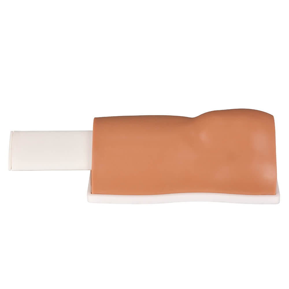 Tibia IO Task Trainer with Removable Bone