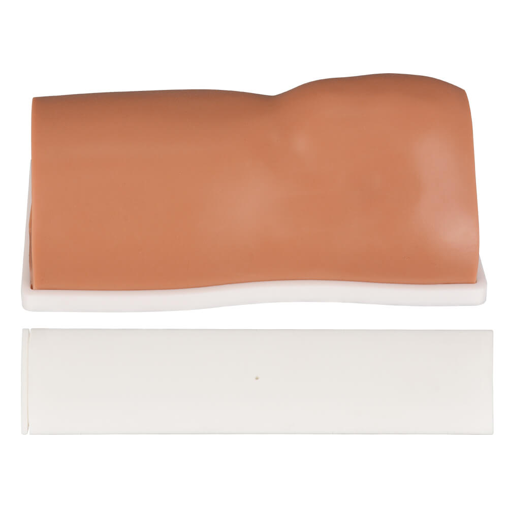 Tibia IO Task Trainer with Removable Bone
