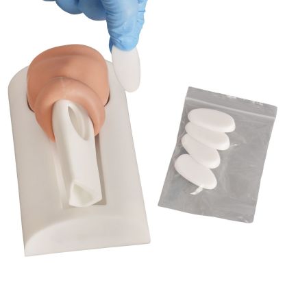 Tibial Intraosseous (IO) Training Bones – Infant, Pediatric, Adult