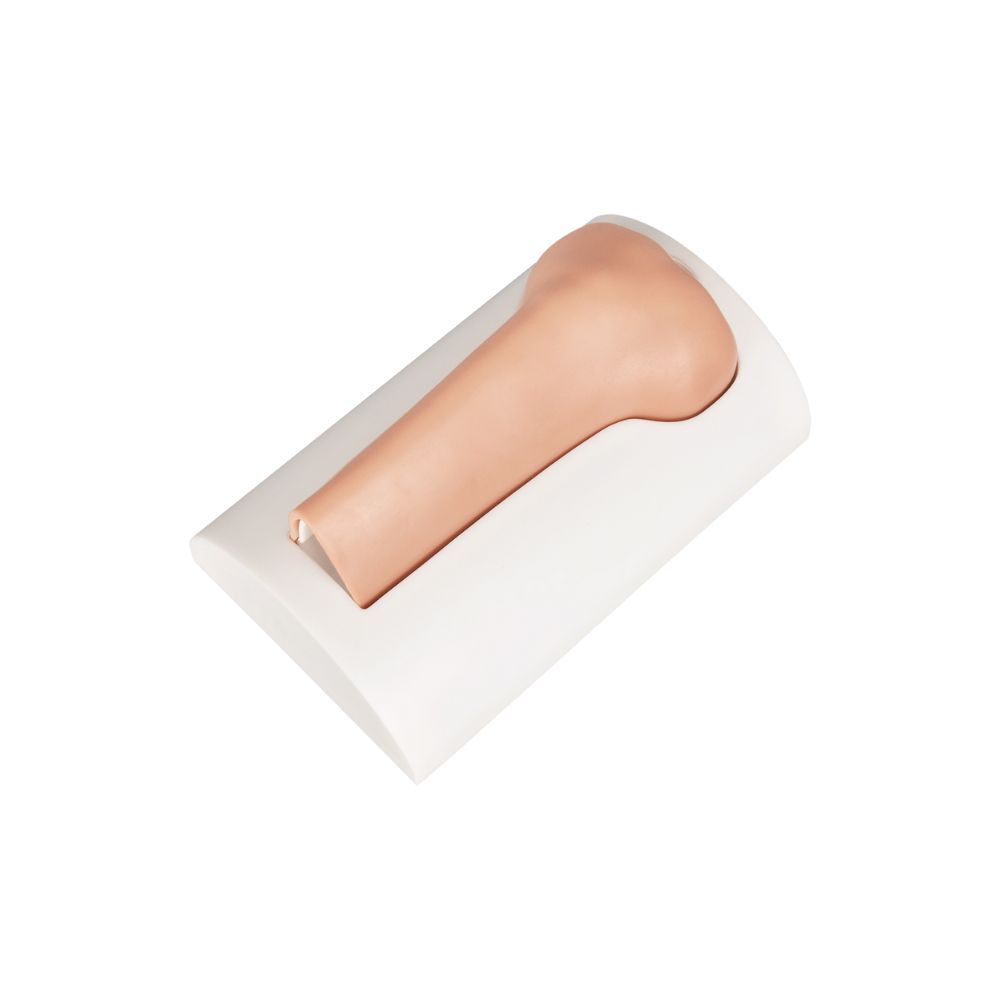 Tibial Intraosseous (IO) Training Bones – Infant, Pediatric, Adult
