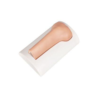 Tibial Intraosseous (IO) Training Bones – Infant, Pediatric, Adult