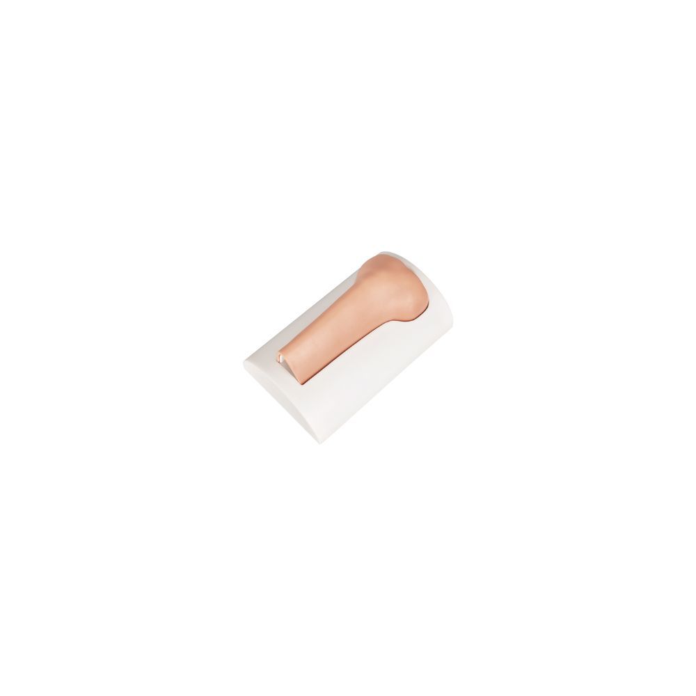 Tibial Intraosseous (IO) Training Bones – Infant, Pediatric, Adult