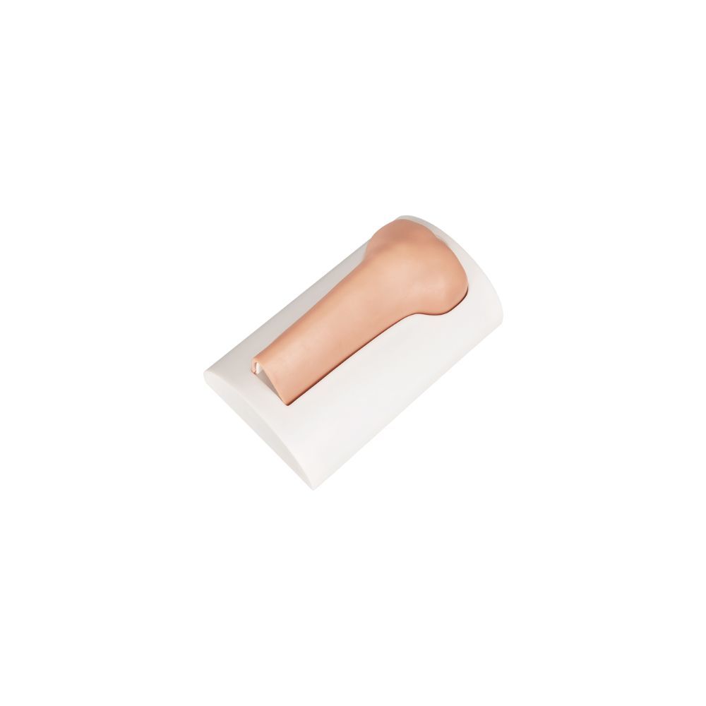 Tibial Intraosseous (IO) Training Bones – Infant, Pediatric, Adult