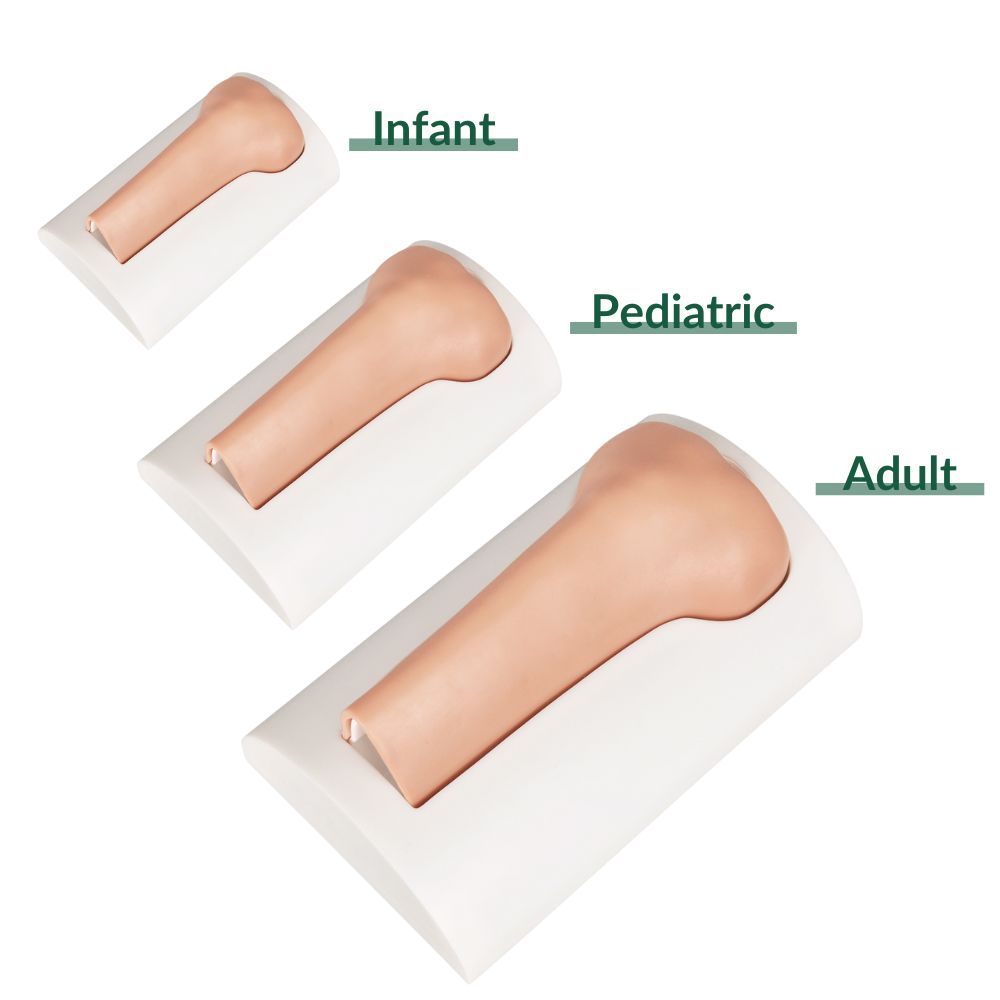Tibial Intraosseous (IO) Training Bones – Infant, Pediatric, Adult