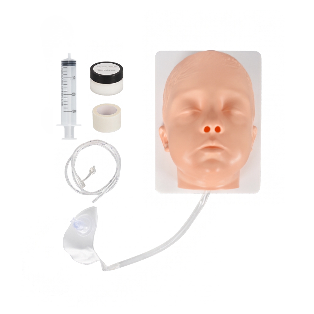 Nasogastric Tube Insertion Trainer