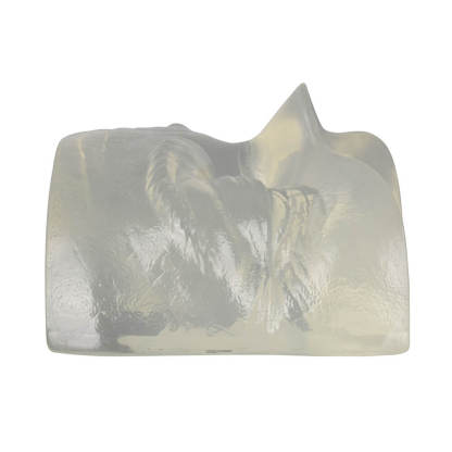 Transparent Eye Model for Facial Injection and Thread Lifting Training