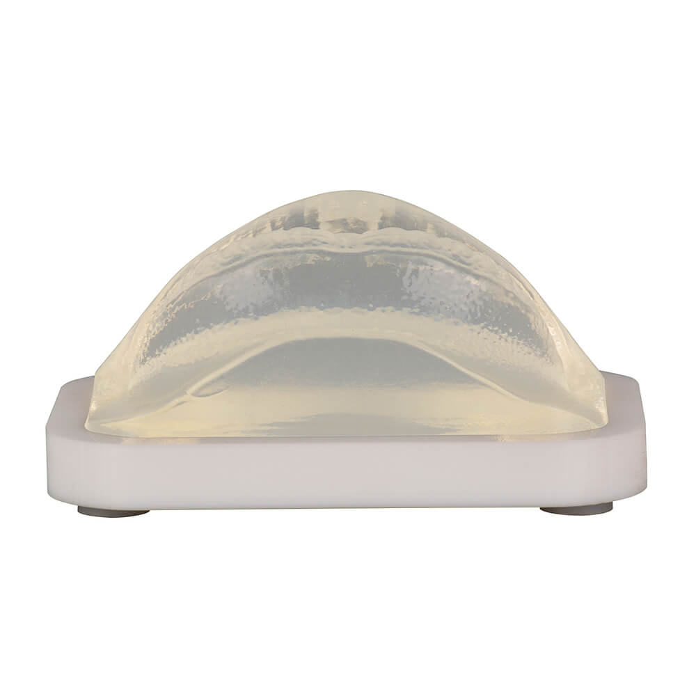 Transparent Lip Model for Filler & Injection Practice