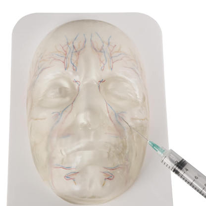 Transparent Facial Injection Training Model with Vessels & Nerves