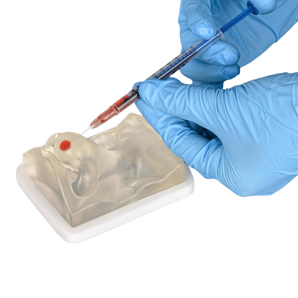Transparent Nose Filler & Injection Training Model