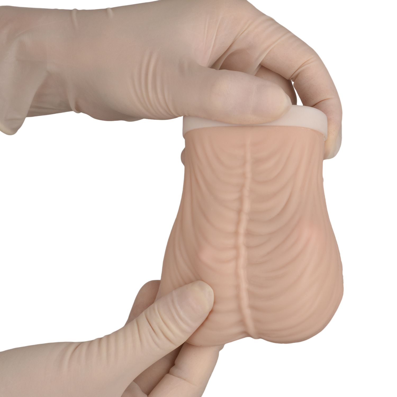 Testicular Self Exam Model 
