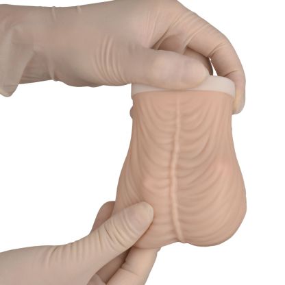 Testicular Self Exam Model 