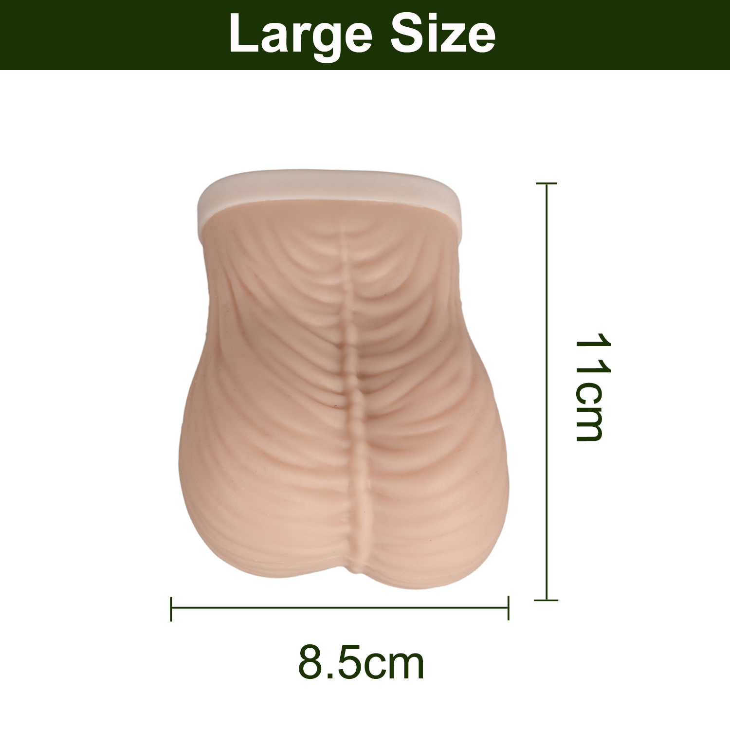 Ultrassist Testicular Self Examination(TSE) Model Large Size