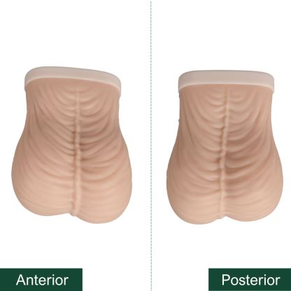Ultrassist Testicular Self Examination(TSE) Model, Beige