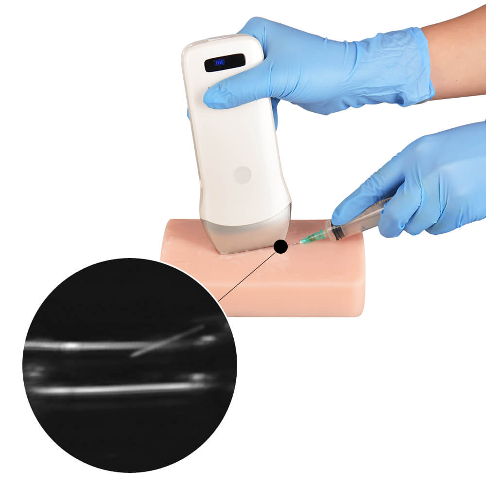 Ultrasound Vascular Access Phantom with Multivessel Design