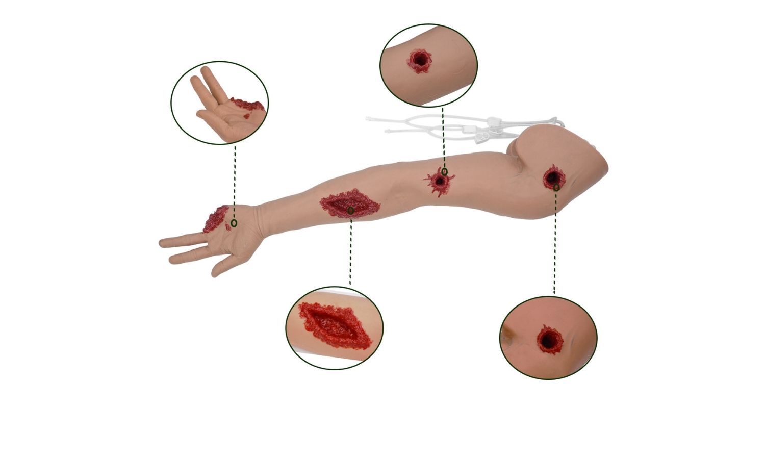 {"default":"Ultrassist Wound Arm Trainer"}