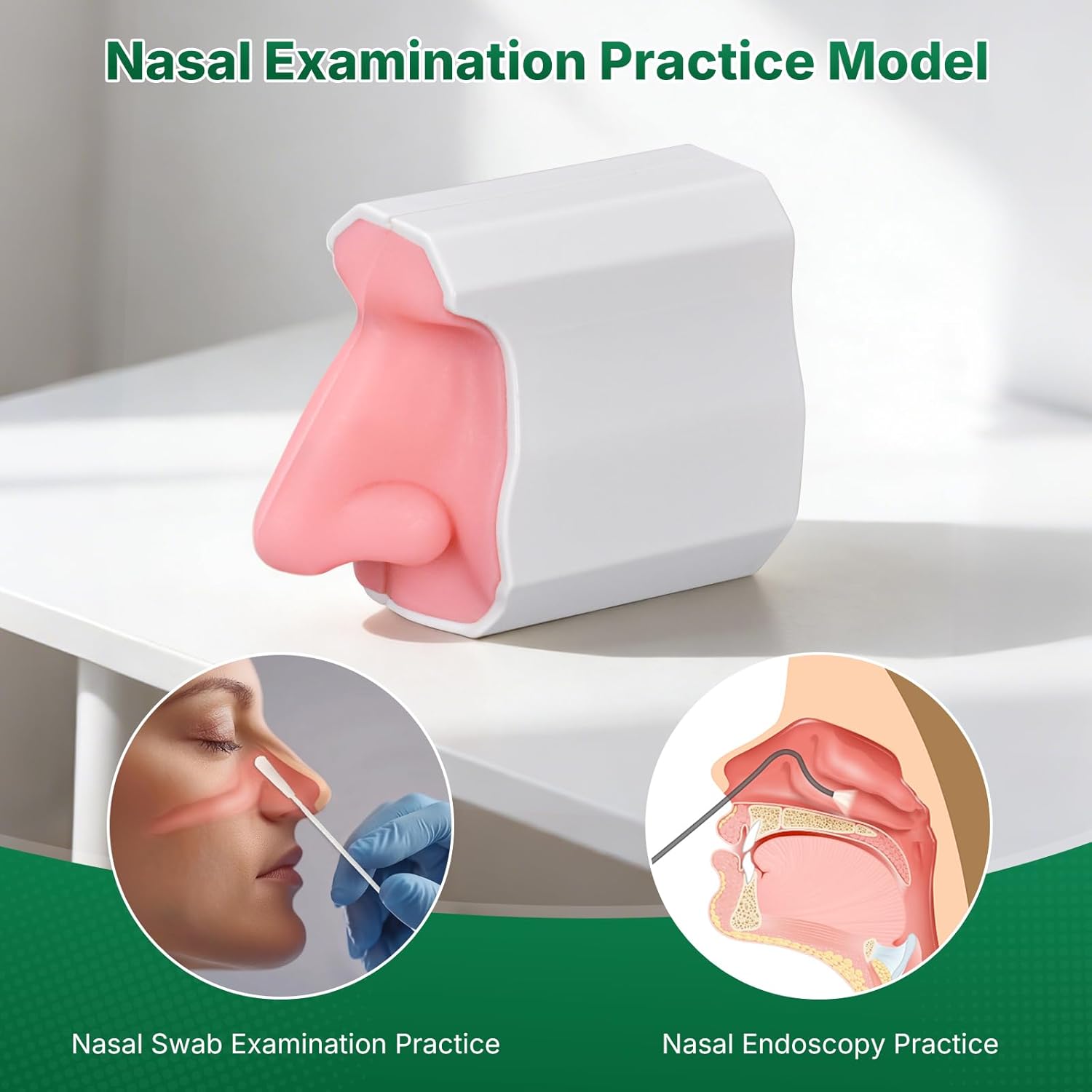 Premium Nasal Examination Practice Model