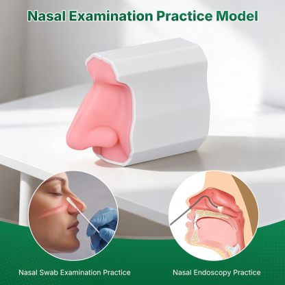 Premium Nasal Examination Practice Model