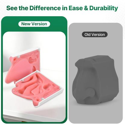 Human Nasal Cavity Anatomy Model Premium Version