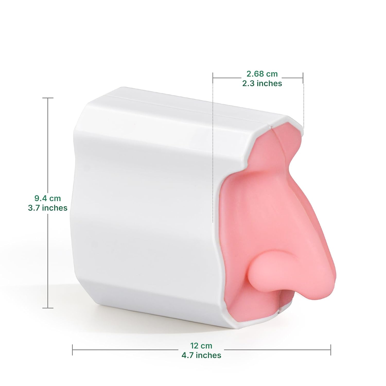 Premium Human Nasal Cavity Anatomy Model Size