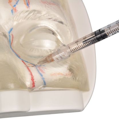 Upper Facial Cosmetic Injection Training Model with Simulated Blood Vessels