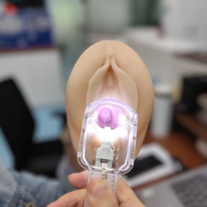 Vaginal & Cervical Exam Trainer with Speculum for Pap Smear Practice