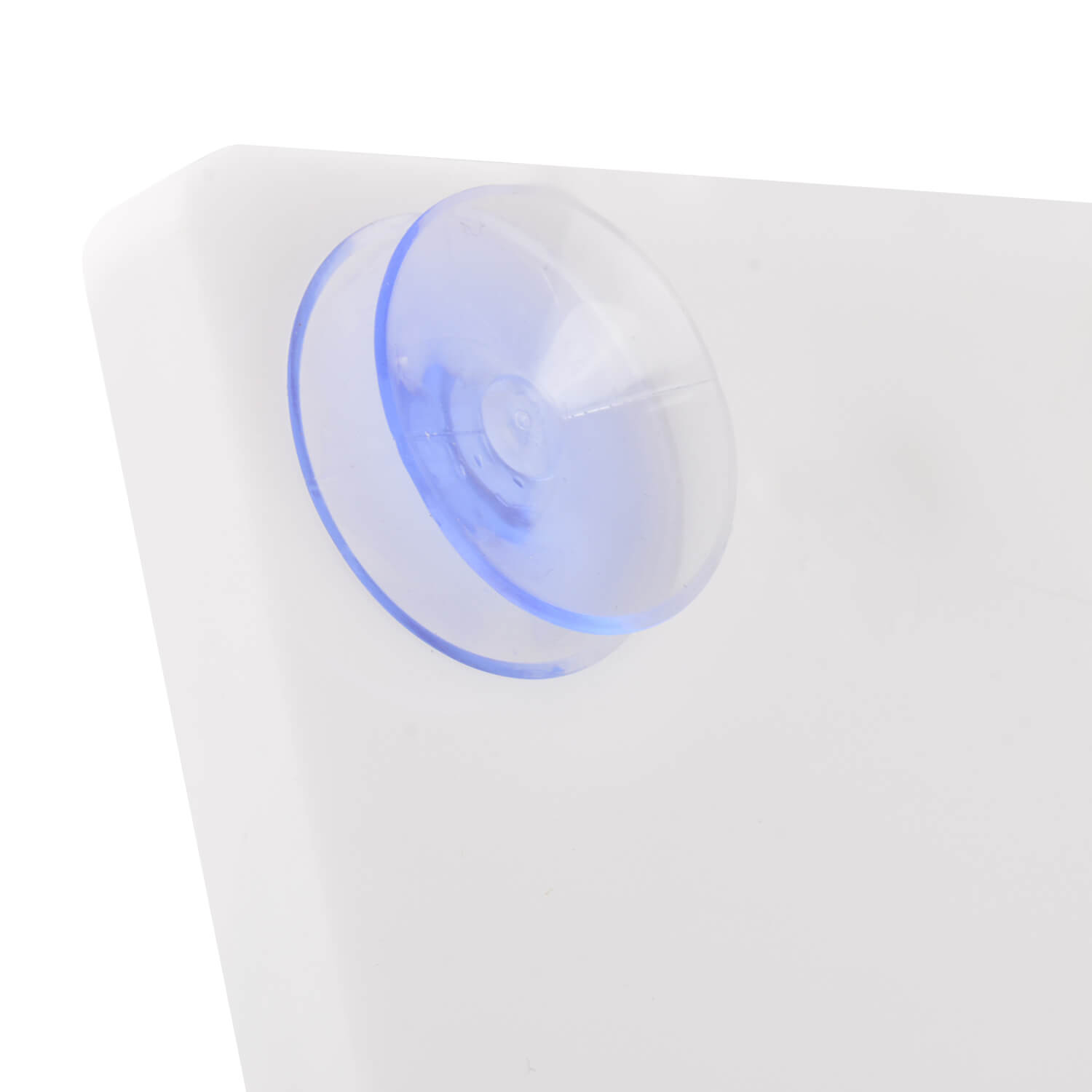 Vaginal & Pelvic Examination Training Model with Cervix