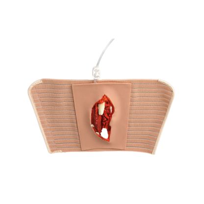 Wearable Open Fracture Wound Packing Trainer, Type Ⅱ, ⅢA, ⅢB, ⅢC