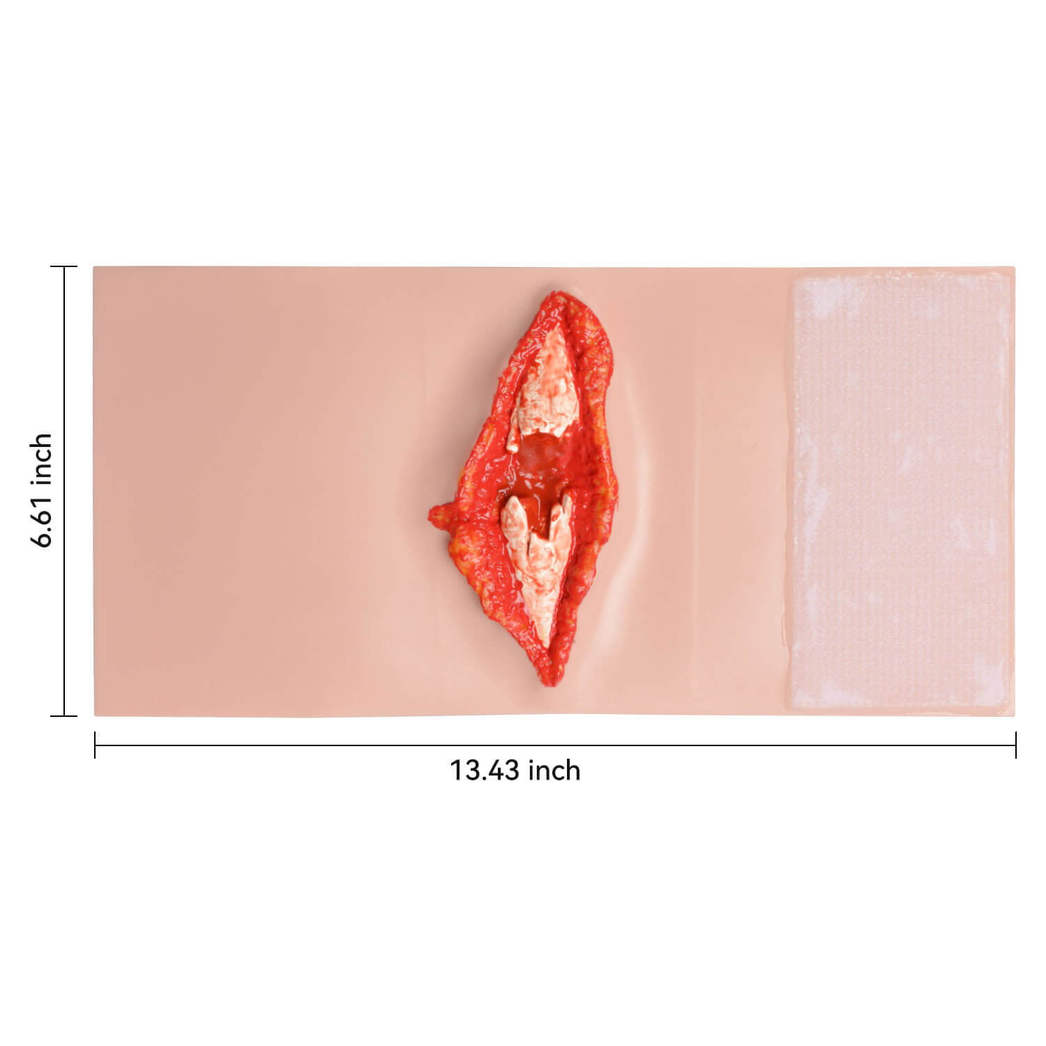 Wearable Open Fracture Wound Trainer Size
