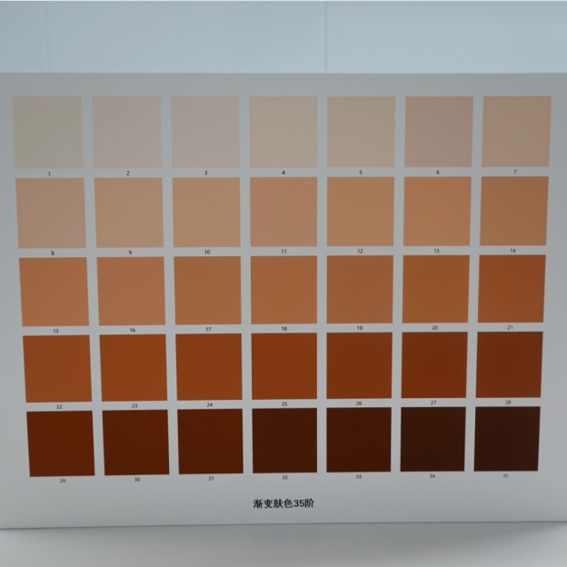Skin Tone Checker for Camera System Skin Tone Accuracy Calibrite ColorChecker Test Chart