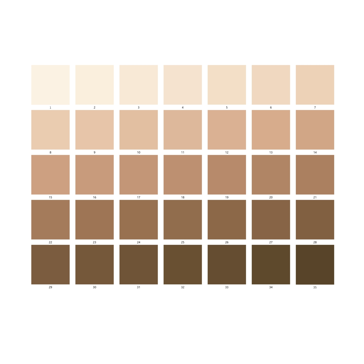 Skin Tone Checker for Camera System Skin Tone Accuracy Calibrite ColorChecker Test Chart