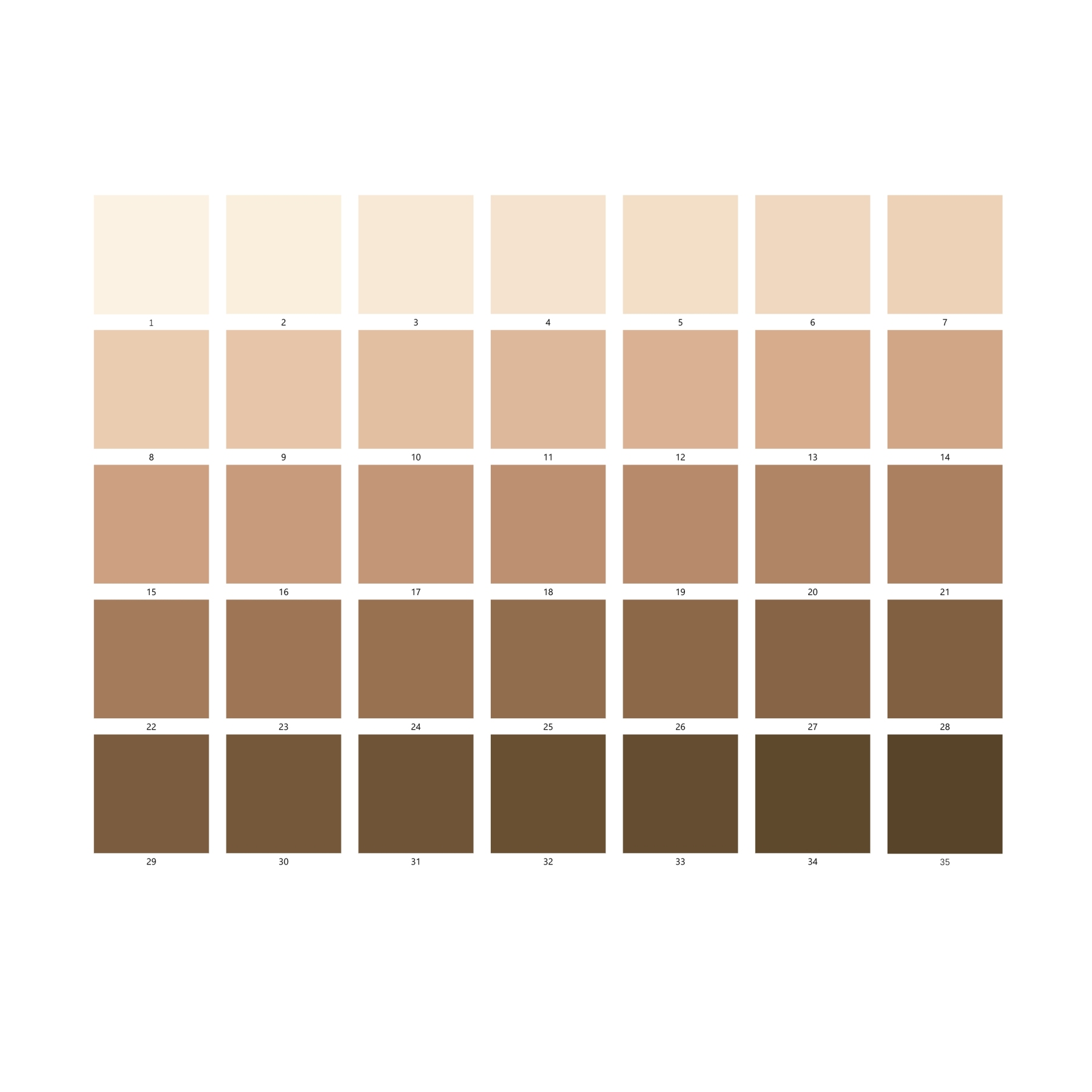 Skin Tone Checker for Camera System Skin Tone Accuracy Calibrite ColorChecker Test Chart
