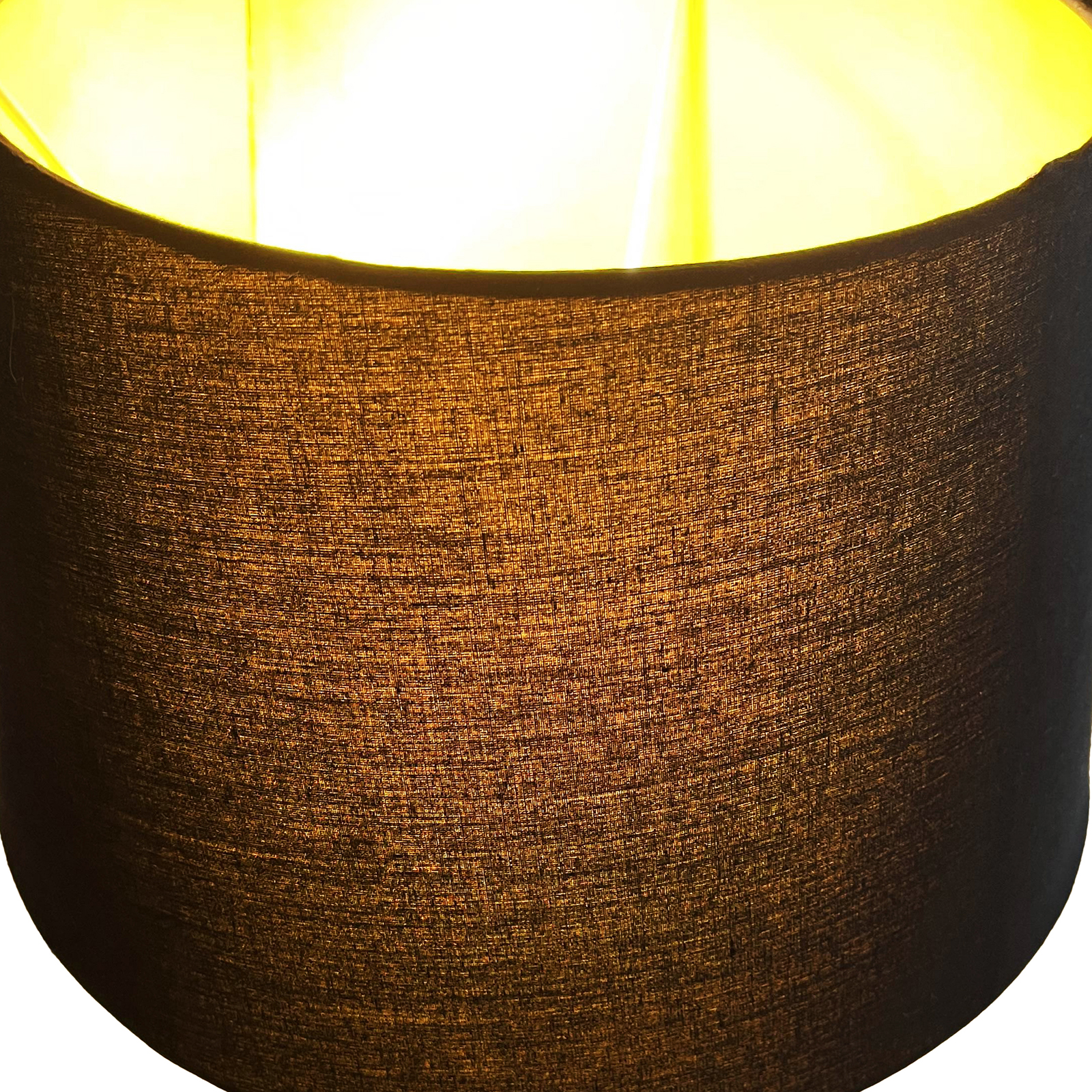 Pug Dog Resin Table Lamp