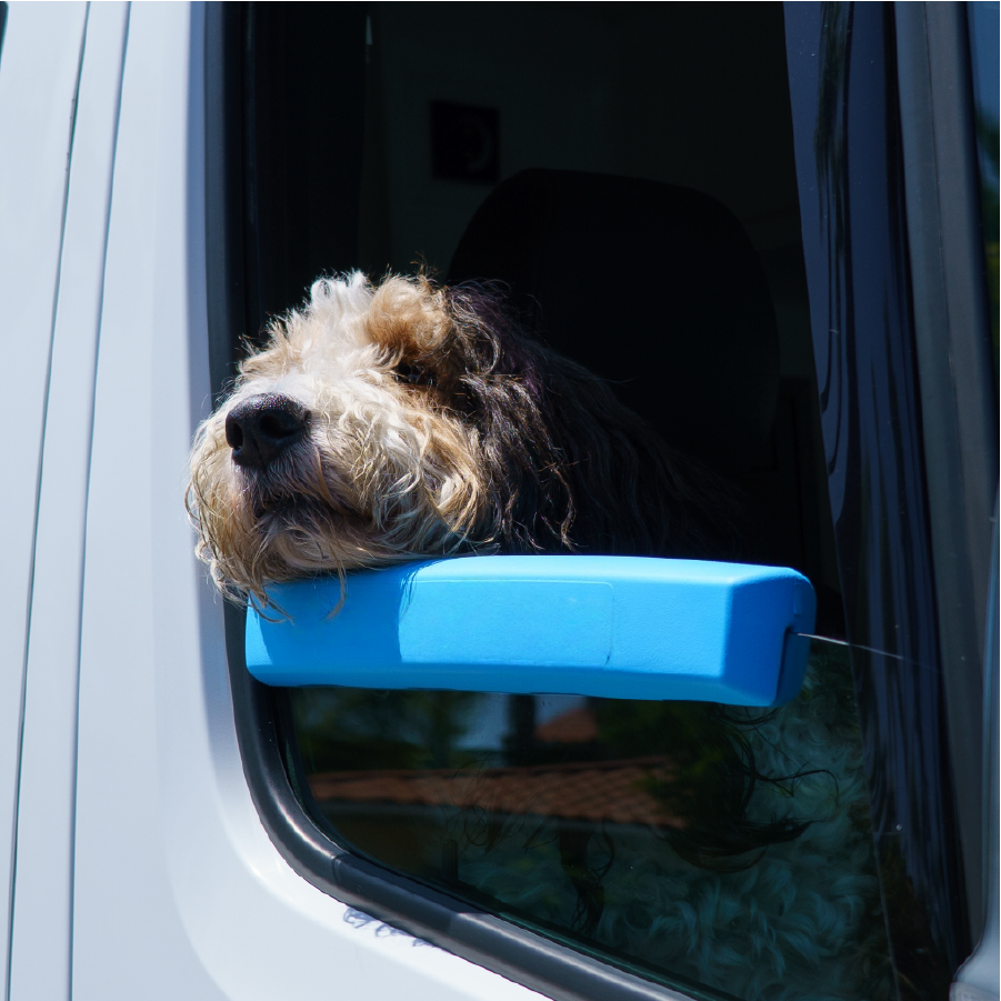 Car Window Dog Cushion – Safe, Comfortable, and Universal Fit