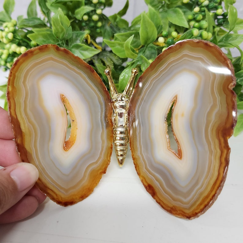 May include: A butterfly shaped agate stone with a gold metal center. The agate is brown, white, and gray with a layered pattern. The gold metal center is a stylized butterfly shape.