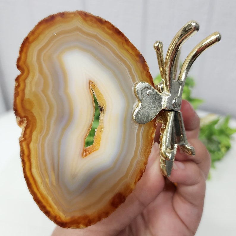 May include: A brown and white agate slice with a gold metal butterfly attached to it. The agate slice has a natural hole in the center.