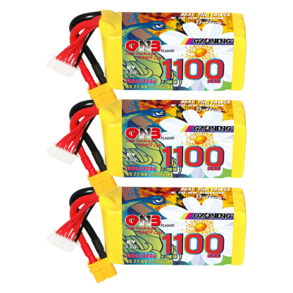 GAONENG GNB LiHV 6S 22.8V 1100mAh 160C XT60 LiPo Battery