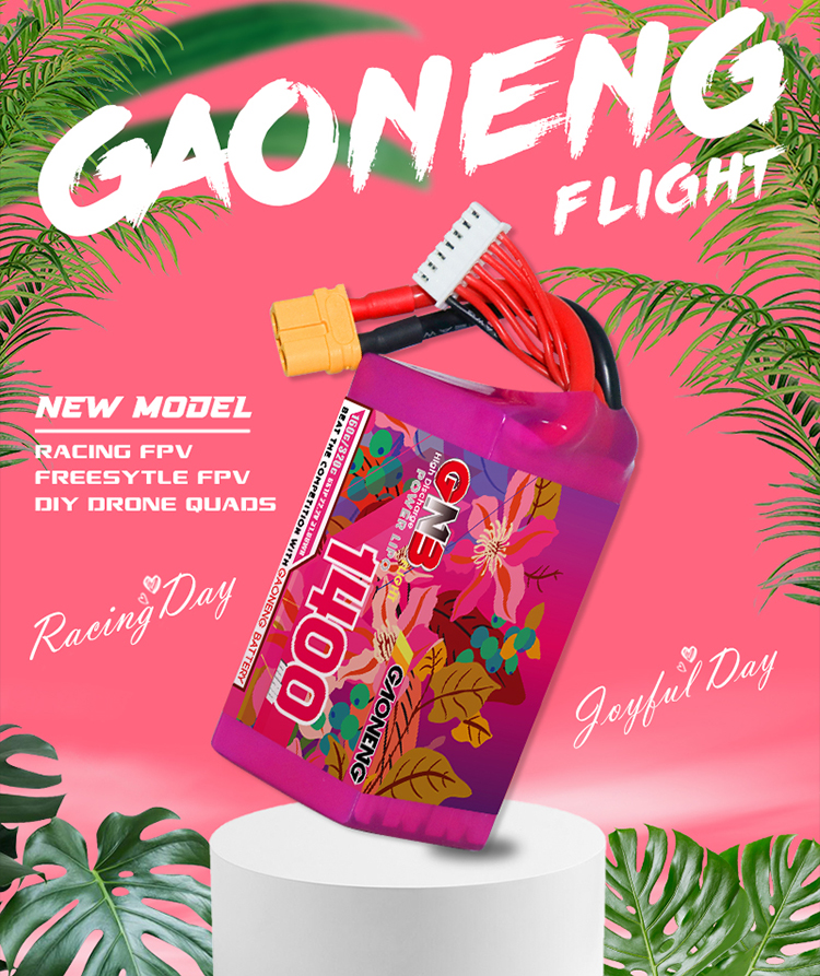 GAONENG GNB 6S 22.2V 1400mAh 160C XT60 LiPo Battery