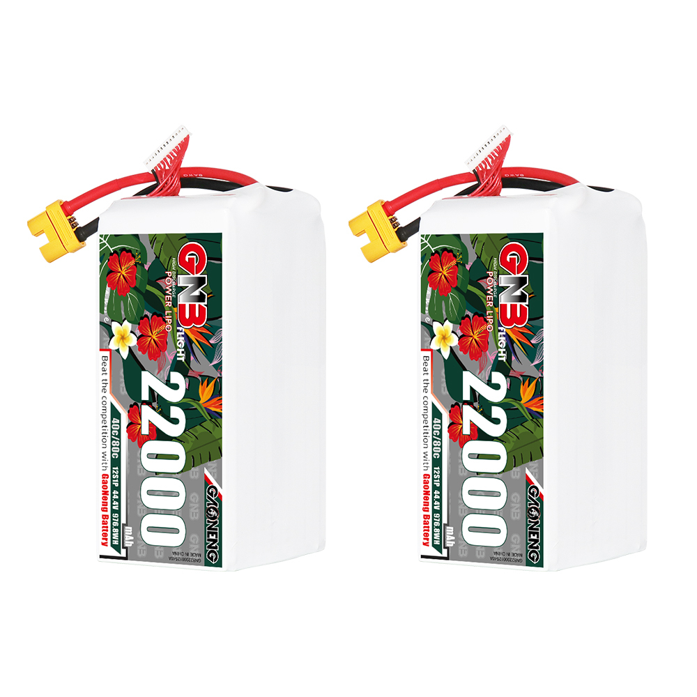 GAONENG GNB 12S1P 44.4V 22000mAh 40C RC LiPo Battery AS150