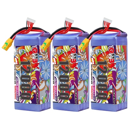 GAONENG GNB 8S1P 30.4V HV 12000mAh 120C LiPo Battery XT90S