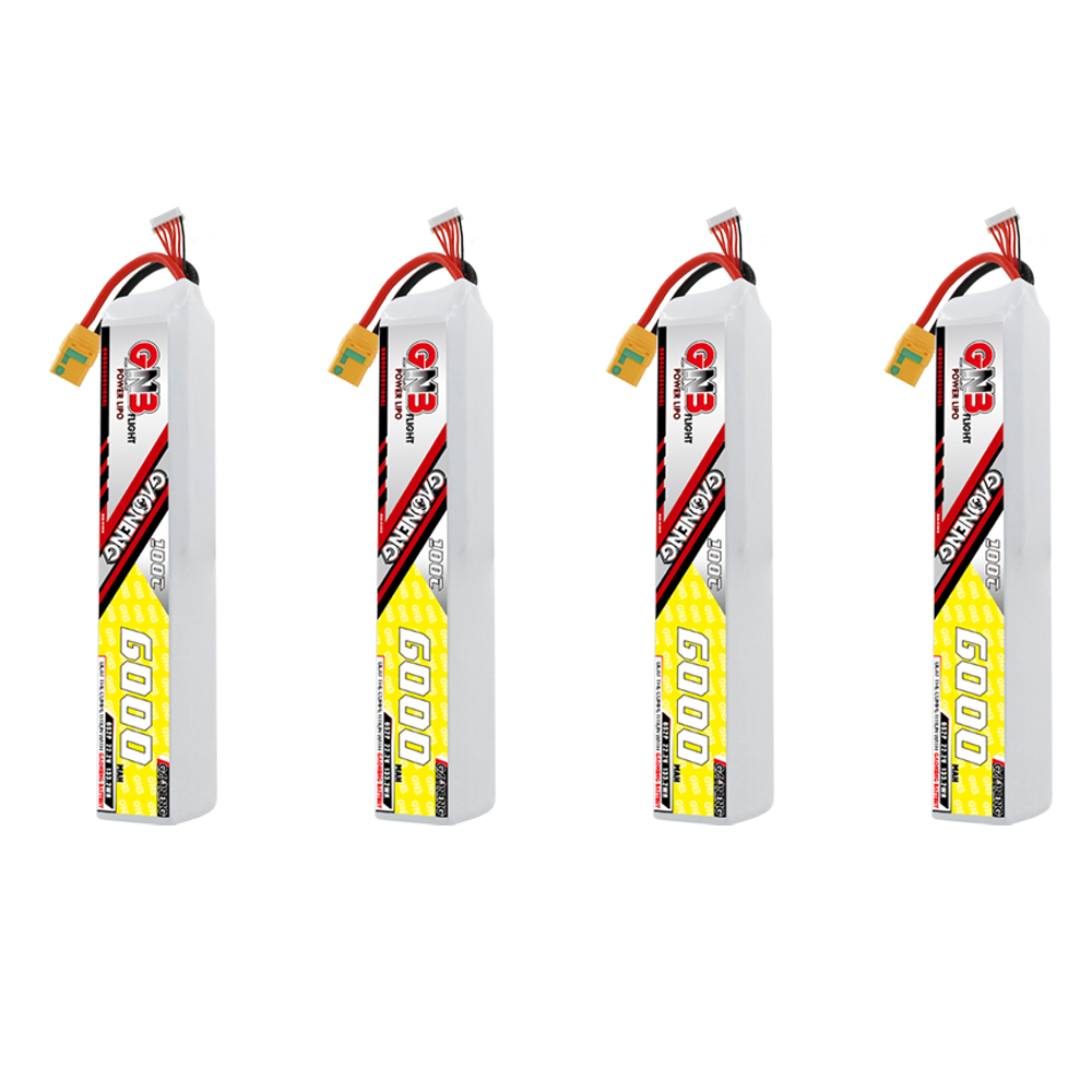 GAONENG GNB 6S 6S2P 22.2V 6000mAh 100C LiPo Battery XT90S
