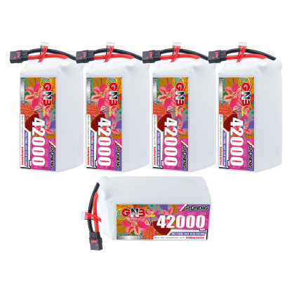 GAONENG GNB 6S2P 22.2V 42000mAhRC LiPo Battery QS8