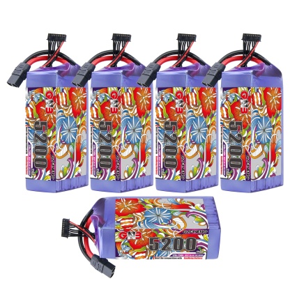 GAONENG GNB HV 8S 30.4V 5200mAh 120C LiPo Battery XT90