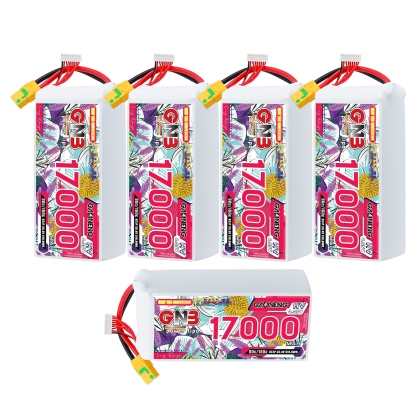 GAONENG GNB 8S1P 30.4V HV 17000mAh 80C LiPo Battery XT90S
