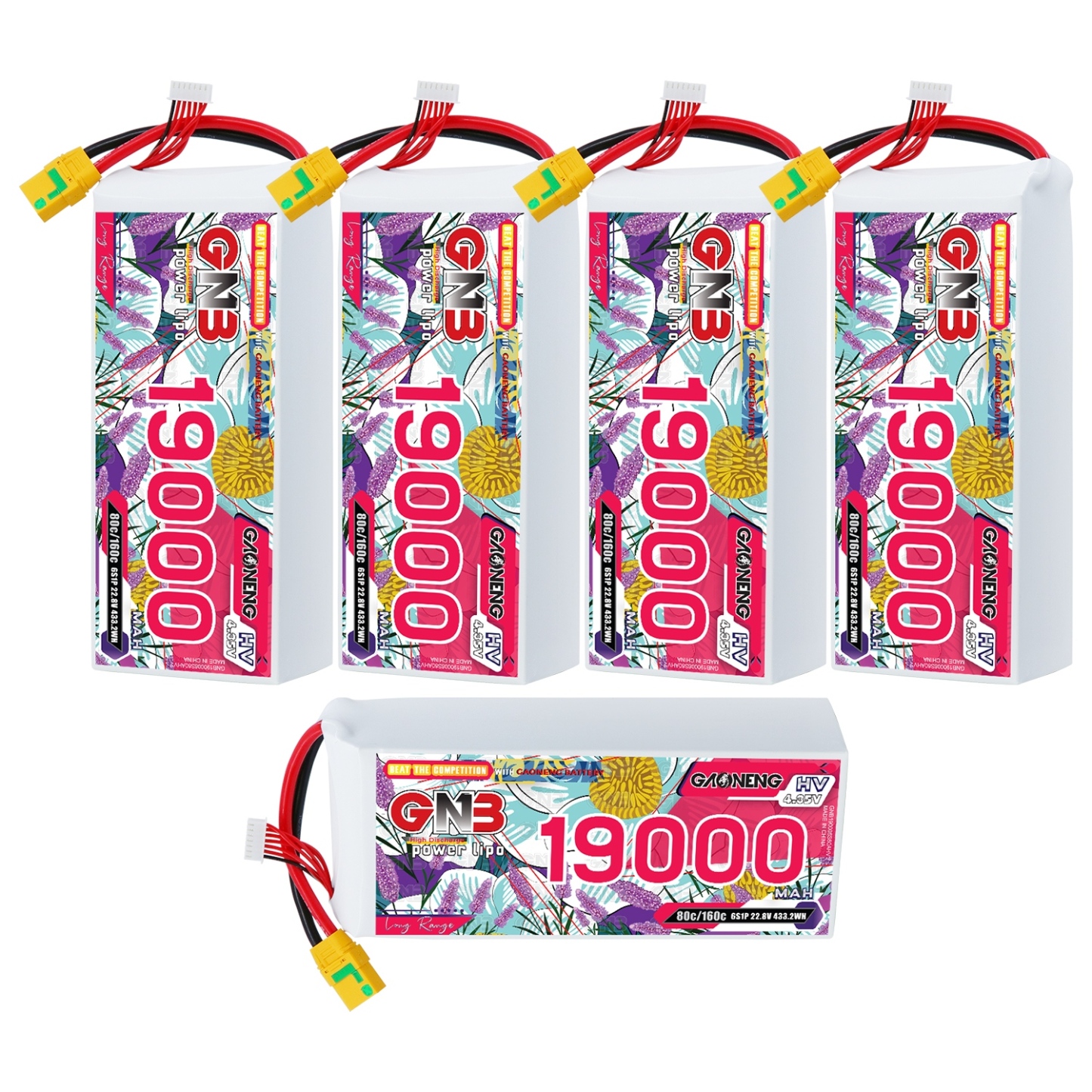 GAONENG GNB 6S 22.8V HV 19000mAh 80C RC LiPo Battery XT90S