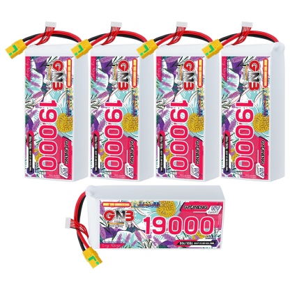 GAONENG GNB 6S 22.8V HV 19000mAh 80C RC LiPo Battery XT90S