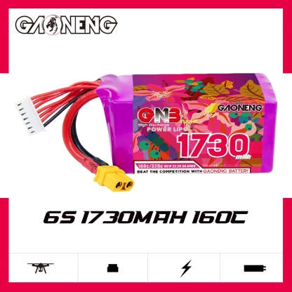 GAONENG GNB 6S 22.2V 1730mAh 160C XT60 LiPo Battery