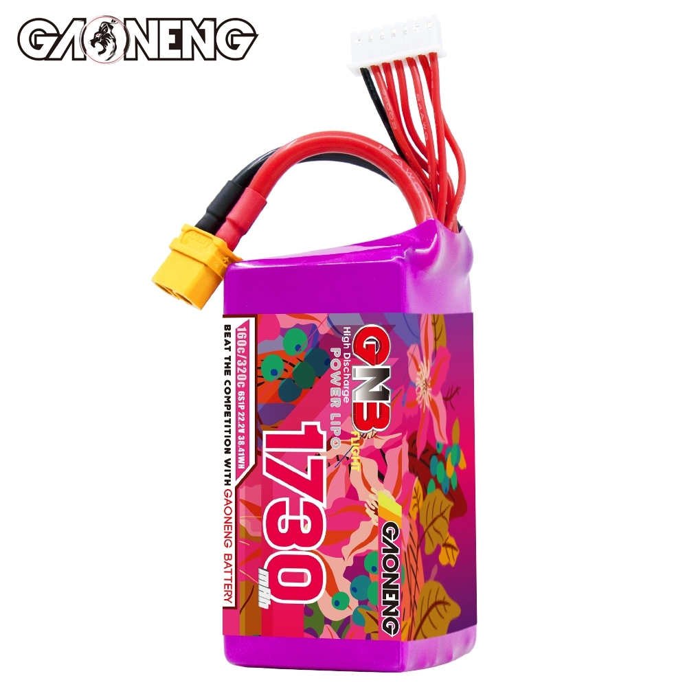 GAONENG GNB 6S 22.2V 1730mAh 160C XT60 LiPo Battery