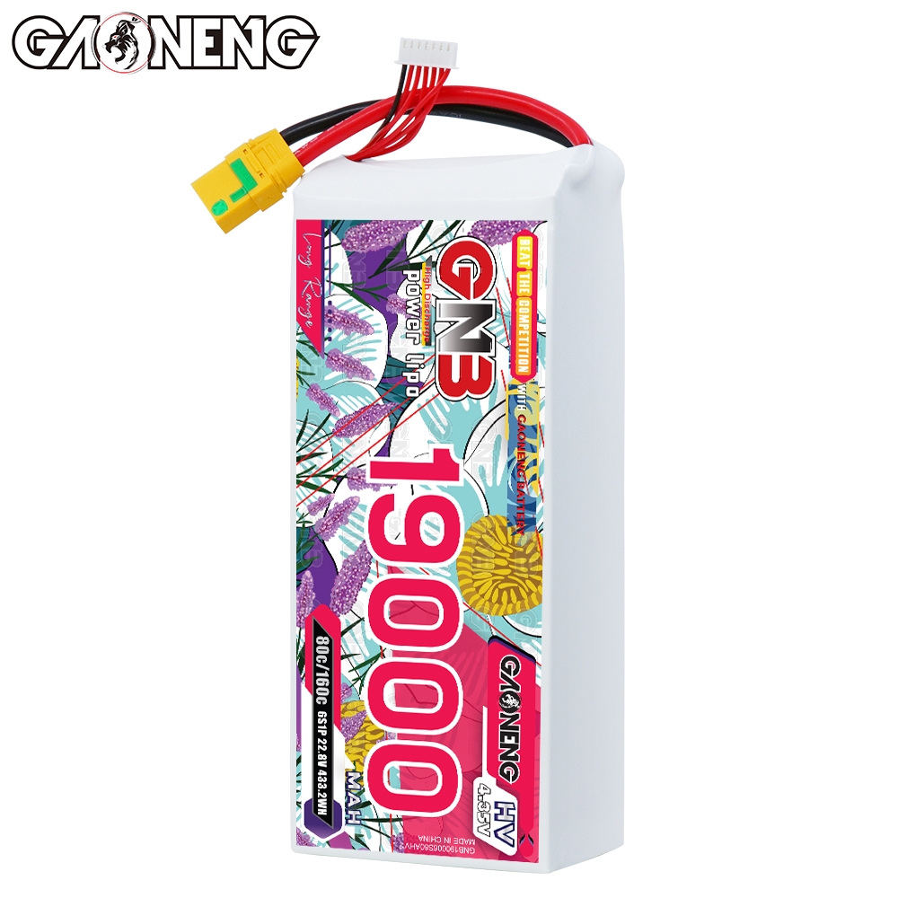 GAONENG GNB 6S 22.8V HV 19000mAh 80C RC LiPo Battery XT90S